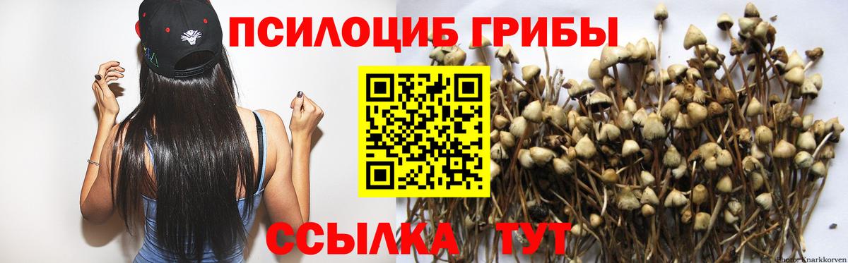 Североуральск  Псилоцибиновые грибы ЛСД  Вход с VPN 